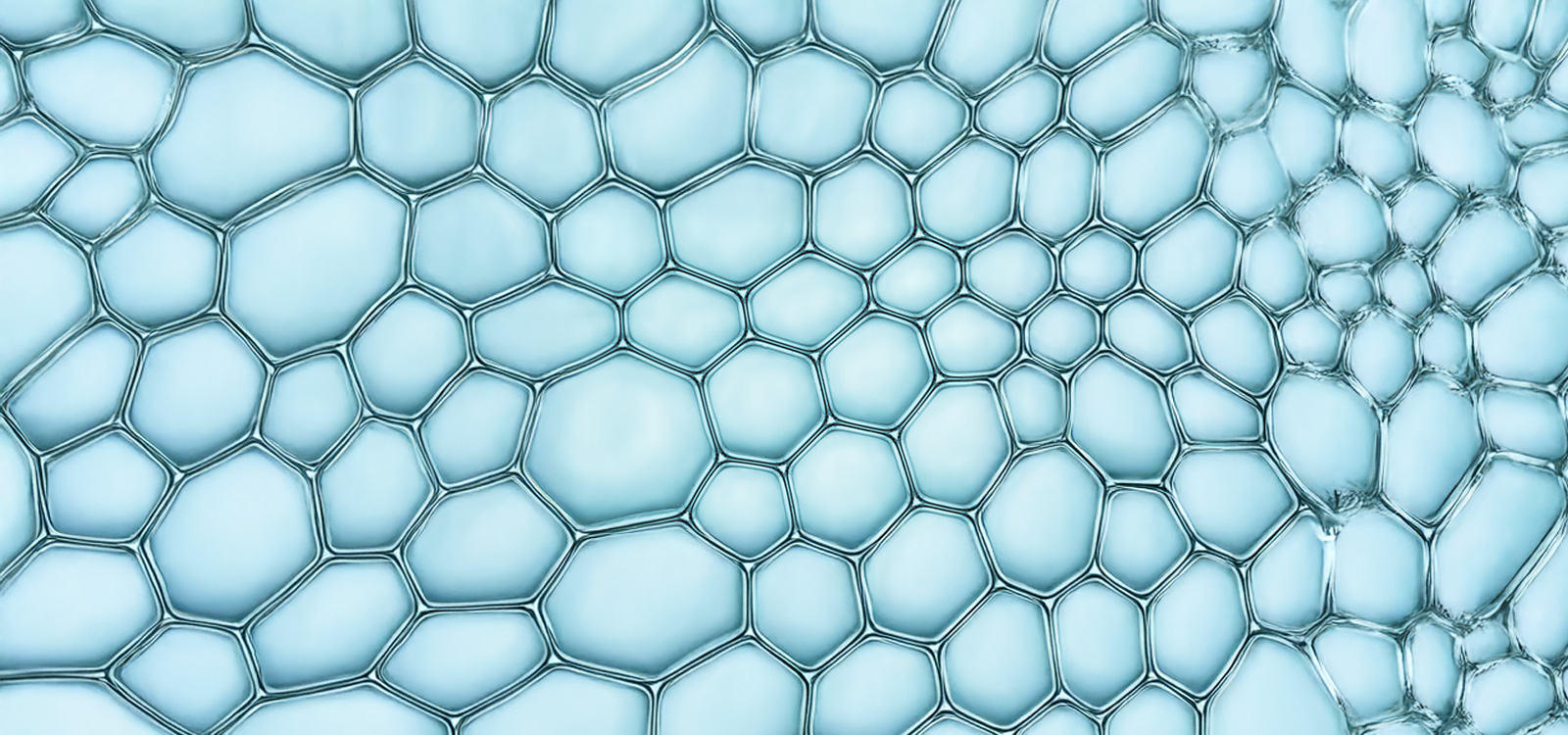 Znacka_ecobiology_2